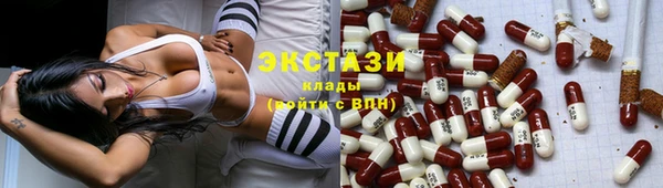 шишки Дмитровск