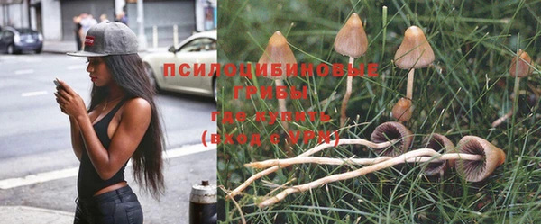 ГАЛЛЮЦИНОГЕННЫЕ ГРИБЫ Михайловск
