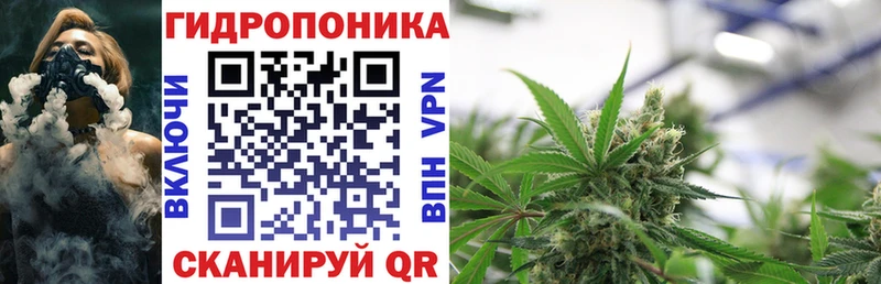 Канабис SATIVA & INDICA  Пласт 